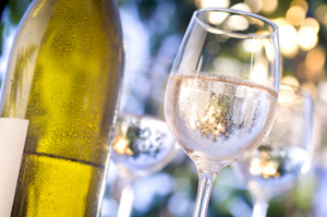 Michigan Summer Wine and Beer Festivals