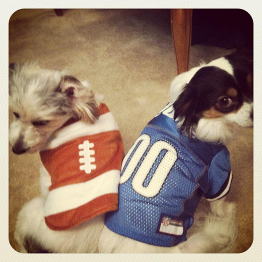 Suh and his football
