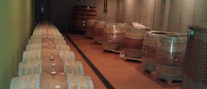 wine-barrels