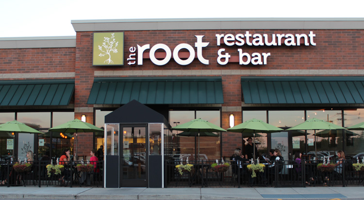 the root